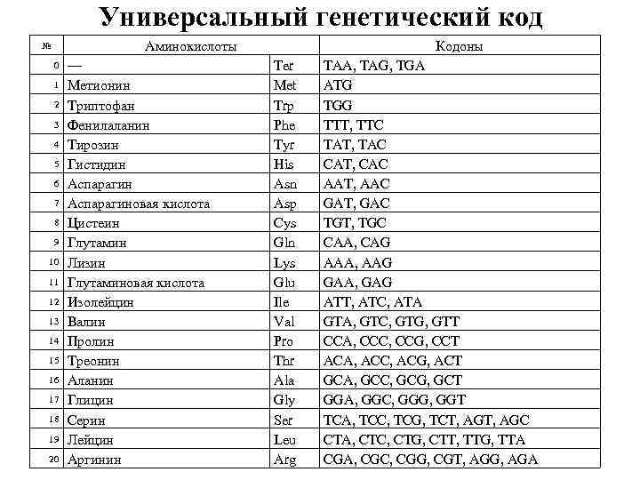 Универсальный генетический код Аминокислоты № 0 1 2 3 4 5 6 7 8