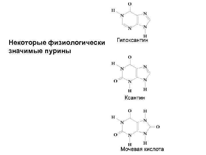 Некоторые физиологически значимые пурины 