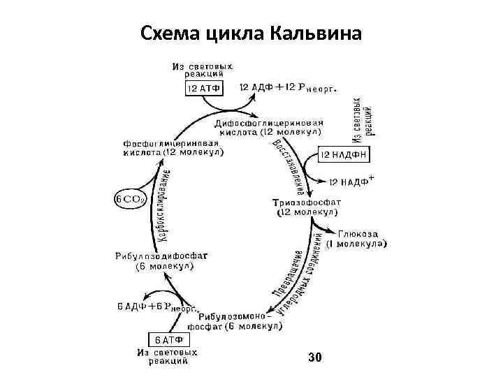 Не понятна схема