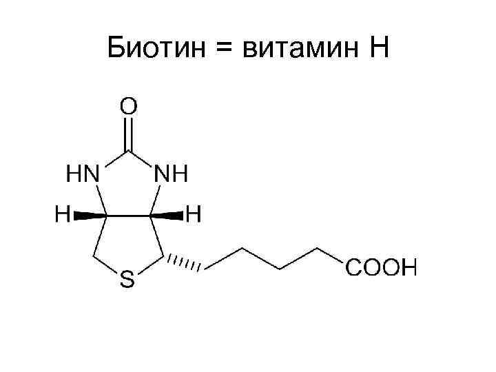 Биотин = витамин Н 