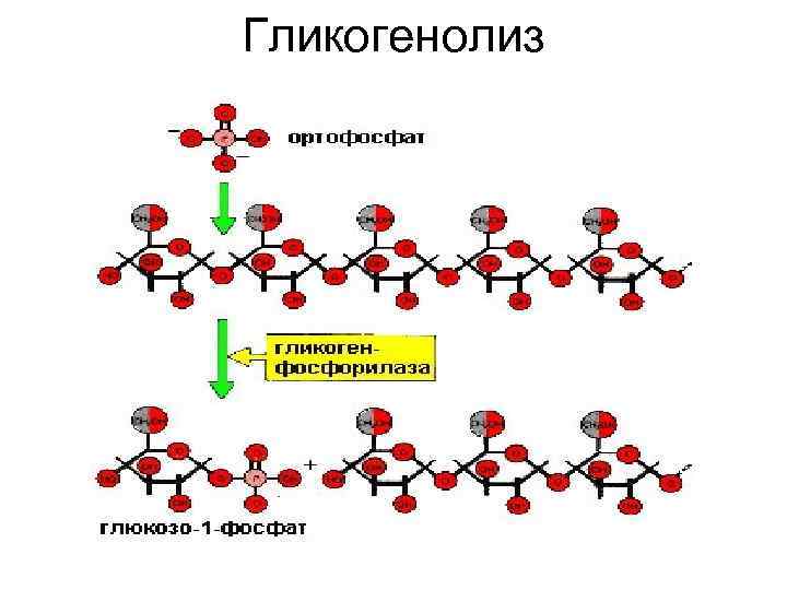 Шесть цикл