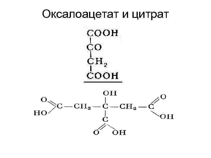 Оксалоацетат и цитрат 