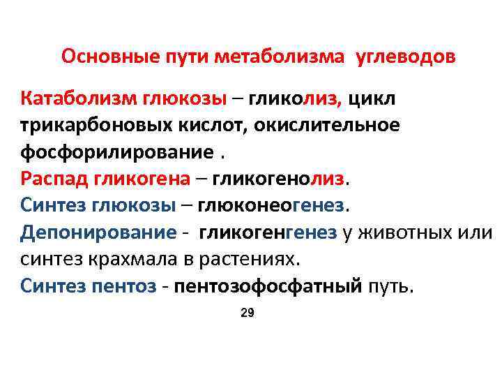 Основные пути метаболизма углеводов Катаболизм глюкозы – гликолиз, цикл трикарбоновых кислот, окислительное фосфорилирование. Распад