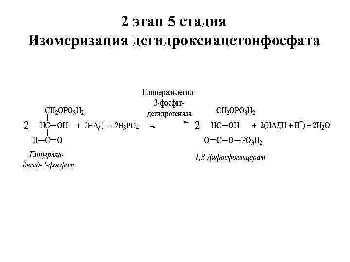 2 этап 5 стадия Изомеризация дегидроксиацетонфосфата 