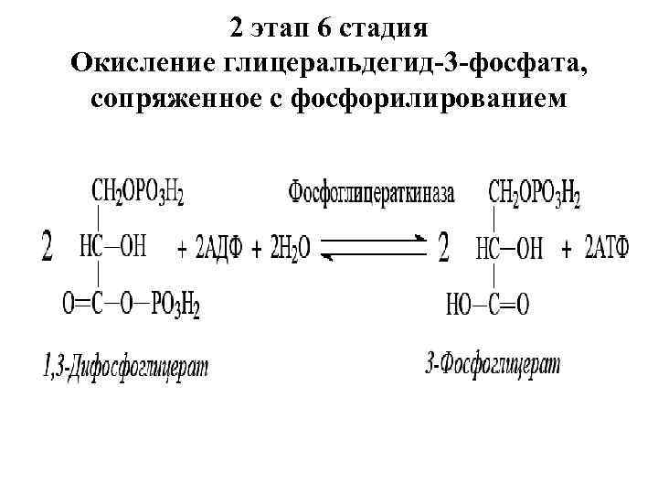 2 этап 6 стадия Окисление глицеральдегид-3 -фосфата, сопряженное с фосфорилированием 