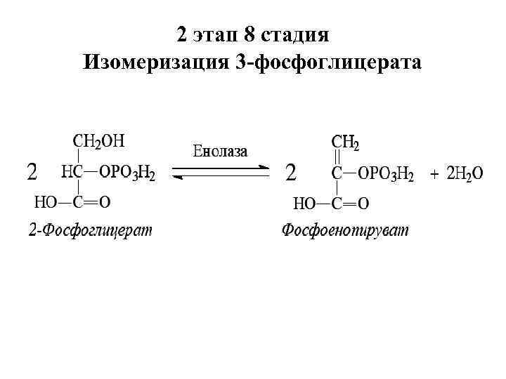 2 этап 8 стадия Изомеризация 3 -фосфоглицерата 