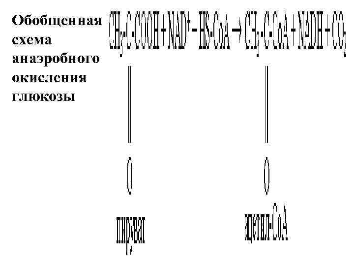 Обобщенная схема анаэробного окисления глюкозы 