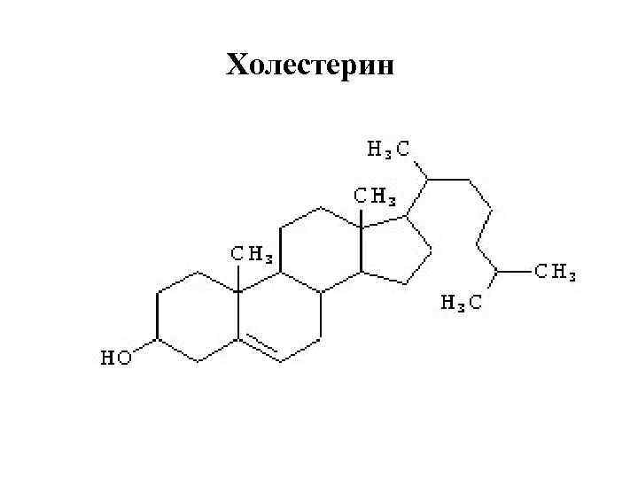 Холестерин 