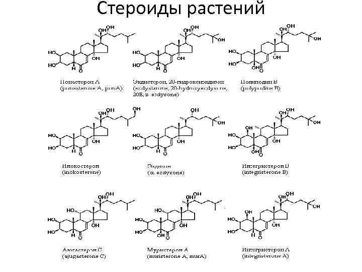 Стероиды растений 