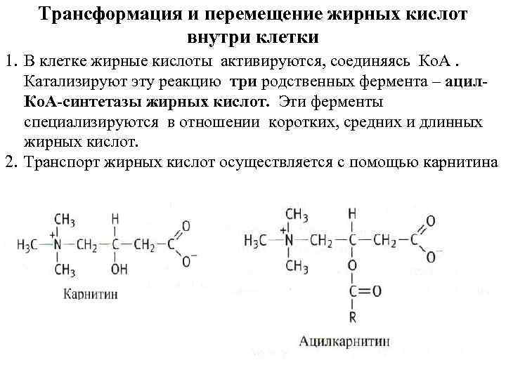 Трансформация и перемещение жирных кислот внутри клетки 1. В клетке жирные кислоты активируются, соединяясь