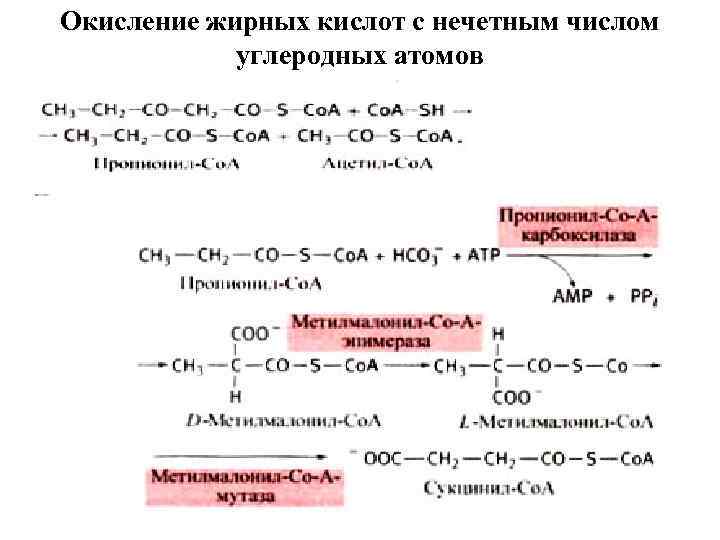 Окисление кислот. Бета окисление нечетных жирных кислот. Особенности бета окисления ненасыщенных жирных кислот. Окисление жирных кислот с нечетным числом. Окисление жирных кислот с нечетным числом углеродных.