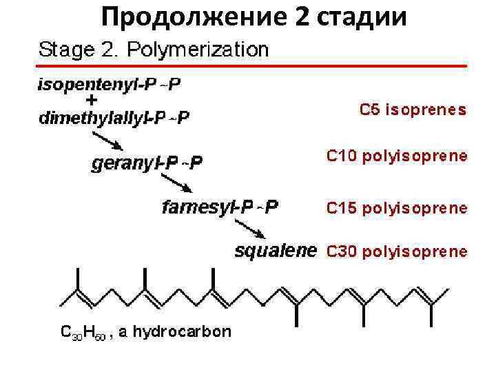 Продолжение 2 стадии 