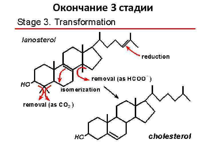 Окончание 3 стадии 