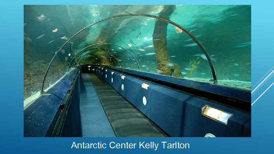 Antarctic Center Kelly Tarlton 