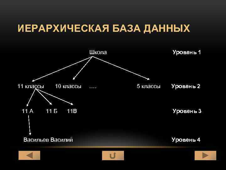 Иерархическая модель данных презентация