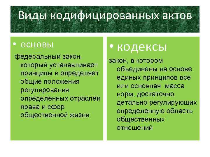 Виды кодифицированных актов • основы федеральный закон, который устанавливает принципы и определяет общие положения