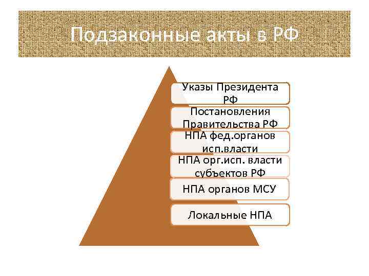 Подзаконные акты в РФ Указы Президента РФ Постановления Правительства РФ НПА фед. органов исп.