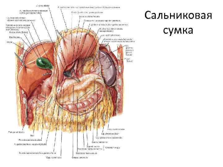 Сальниковая сумка 