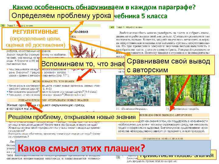Какую особенность обнаруживаем в каждом параграфе? Определяем проблему урокаучебника 5 класса Пример оформления РЕГУЛЯТИВНЫЕ