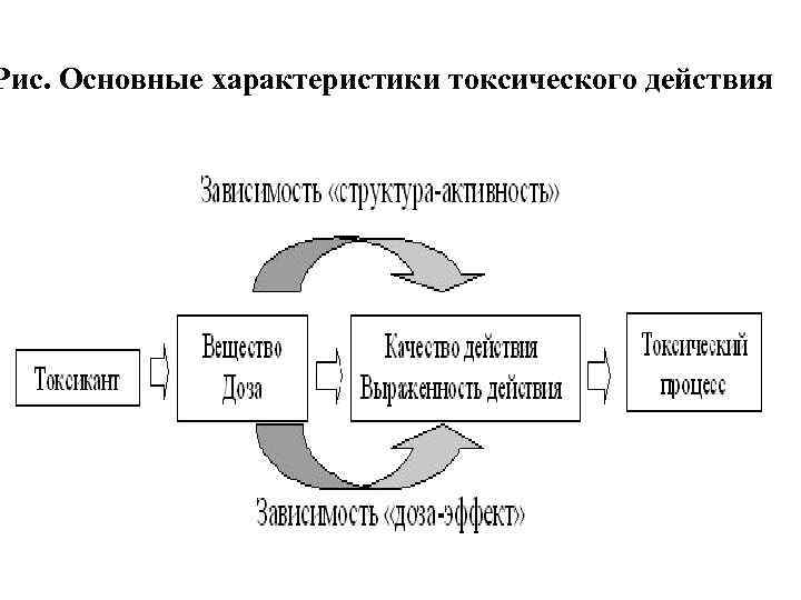 Рис. Основные характеристики токсического действия 