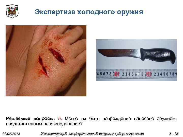 Экспертиза холодного оружия Решаемые вопросы: 5. Могло ли быть повреждение нанесено оружием, представленным на