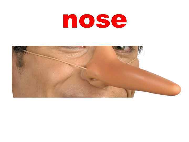 nose 