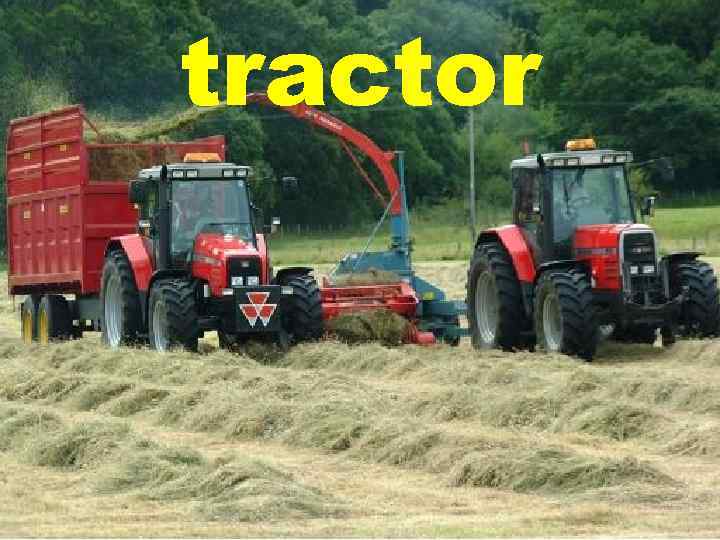tractor 