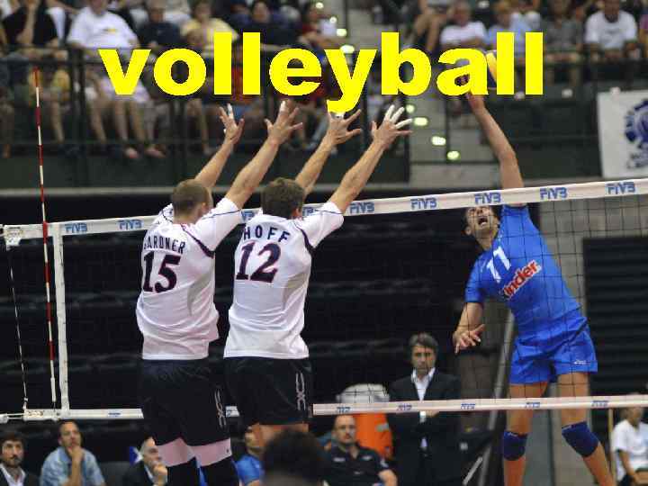 volleyball 