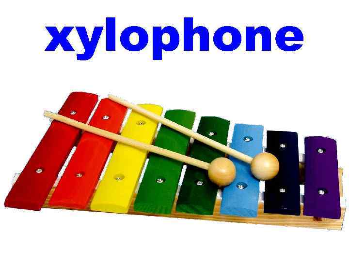 xylophone 