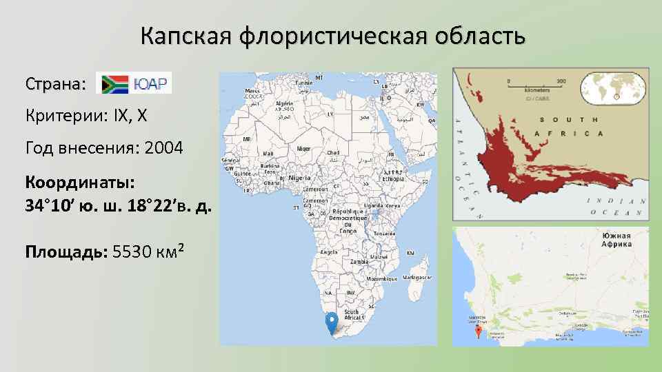 Капская флористическая область Страна: Критерии: IX, X Год внесения: 2004 Координаты: 34° 10′ ю.