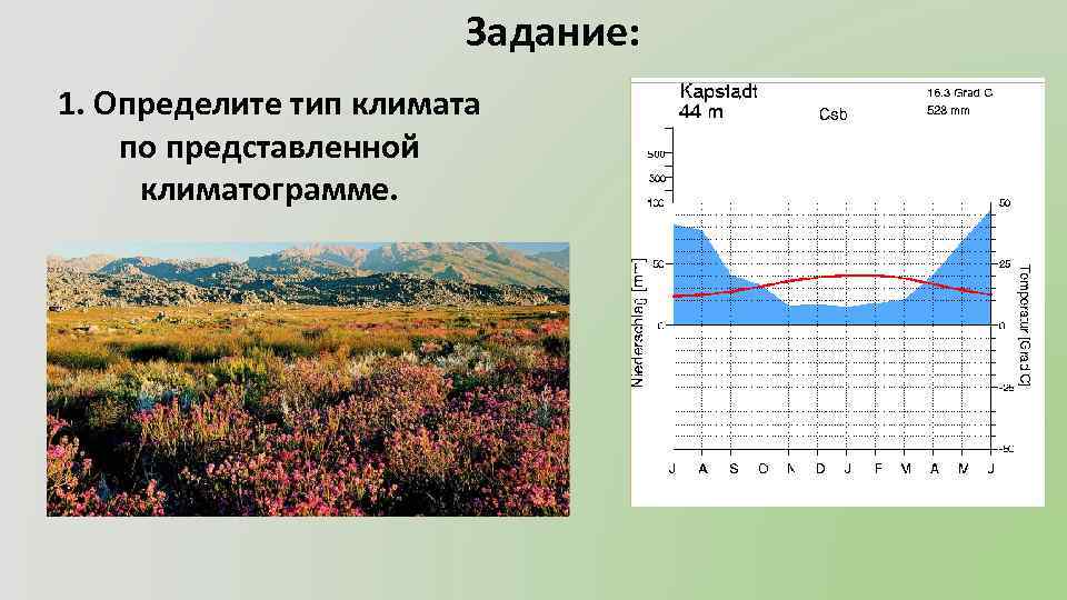 Задание: 1. Определите тип климата по представленной климатограмме. 