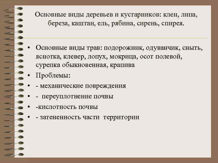 Основные виды деревьев и кустарников: клен, липа, береза, каштан, ель, рябина, сирень, спирея. •