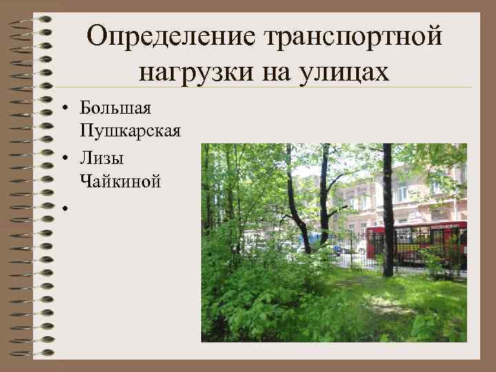 Определение транспортной нагрузки на улицах • Большая Пушкарская • Лизы Чайкиной • 