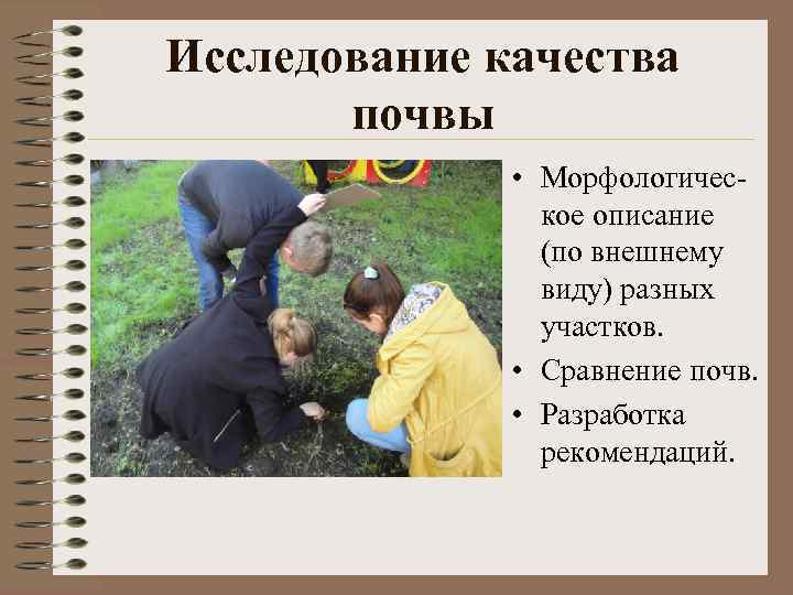 Исследование качества почвы • Морфологическое описание (по внешнему виду) разных участков. • Сравнение почв.