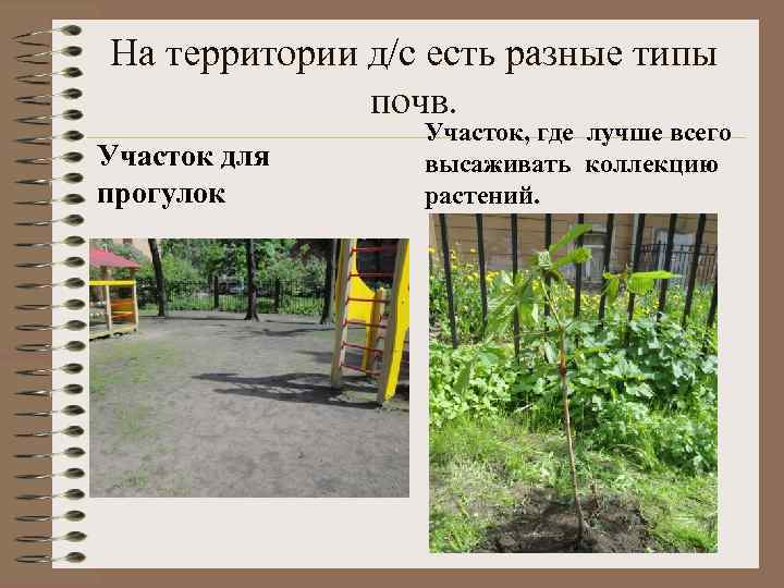 На территории д/с есть разные типы почв. Участок для прогулок Участок, где лучше всего