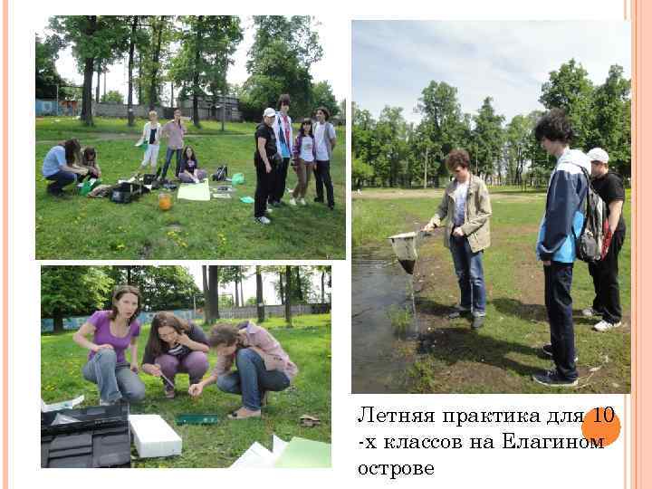 Летняя практика для 10 -х классов на Елагином острове 