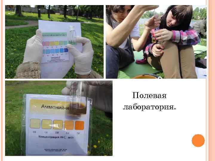 Полевая лаборатория. 