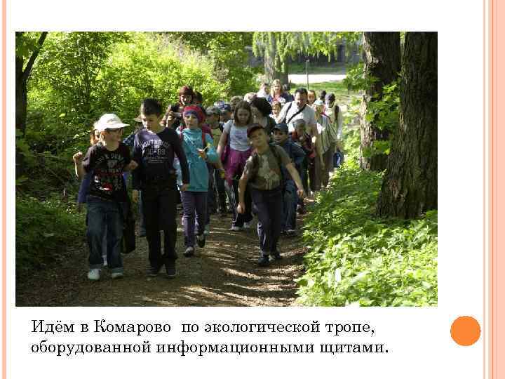 Идём в Комарово по экологической тропе, оборудованной информационными щитами. 