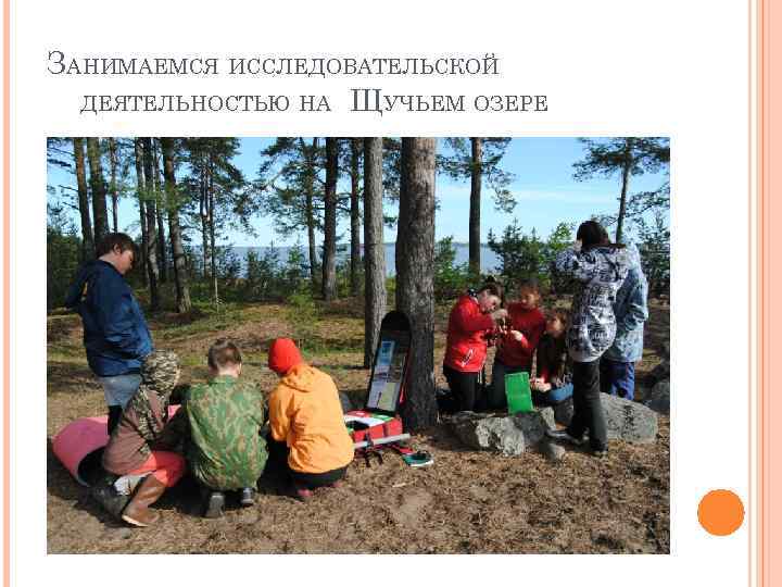 ЗАНИМАЕМСЯ ИССЛЕДОВАТЕЛЬСКОЙ ДЕЯТЕЛЬНОСТЬЮ НА ЩУЧЬЕМ ОЗЕРЕ 