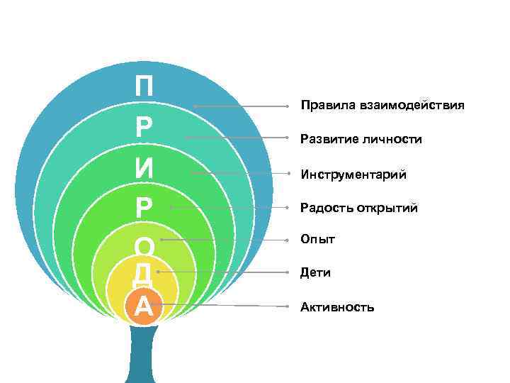 П Р И Р О Д А Правила взаимодействия Развитие личности Инструментарий Радость открытий