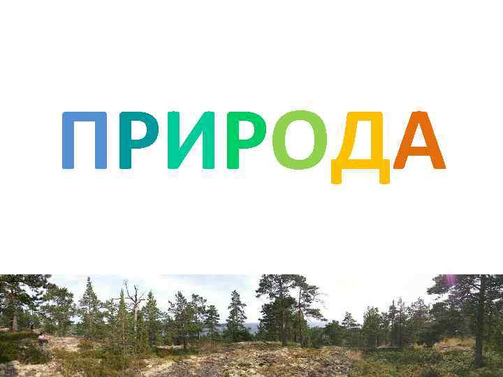 ПРИРОДА 