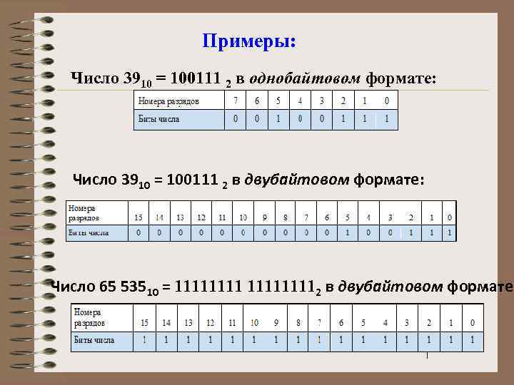 Примеры: Число 3910 = 100111 2 в однобайтовом формате: Число 3910 = 100111 2