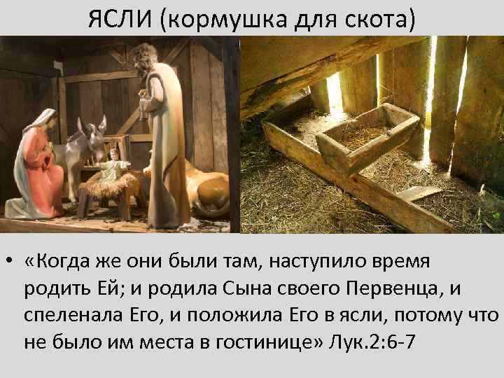 ЯСЛИ (кормушка для скота) • «Когда же они были там, наступило время родить Ей;