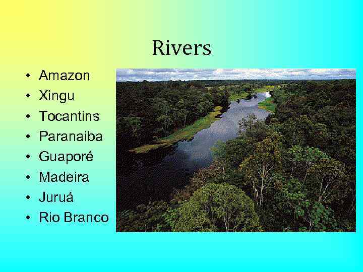 Rivers • • Amazon Xingu Tocantins Paranaiba Guaporé Madeira Juruá Rio Branco 