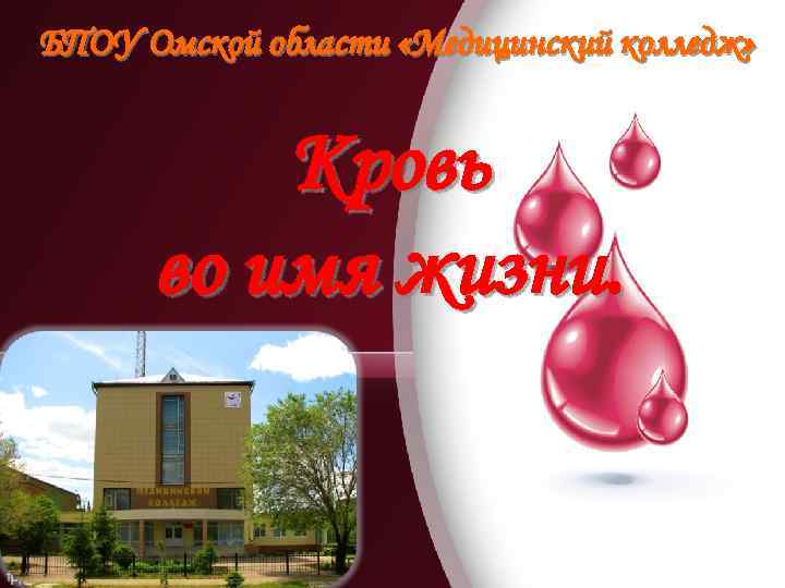 БПОУ Омской области «Медицинский колледж» Кровь во имя жизни. 