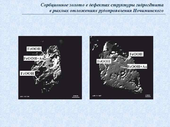 Сорбционное золото в дефектах структуры гидрогётита в рыхлых отложениях рудопроявления Иочиминского 