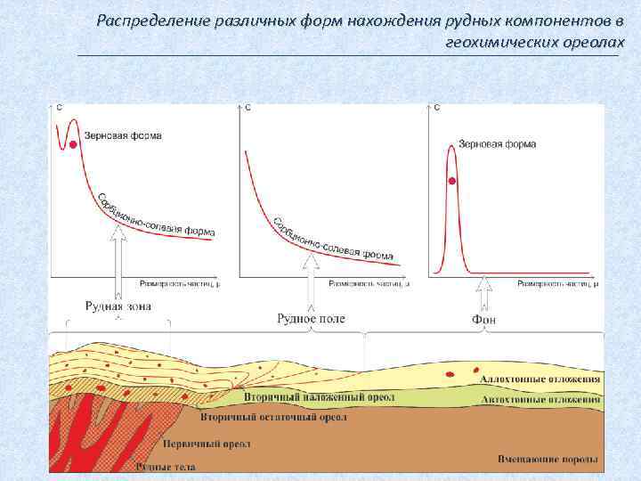 Распределение различных форм нахождения рудных компонентов в геохимических ореолах 