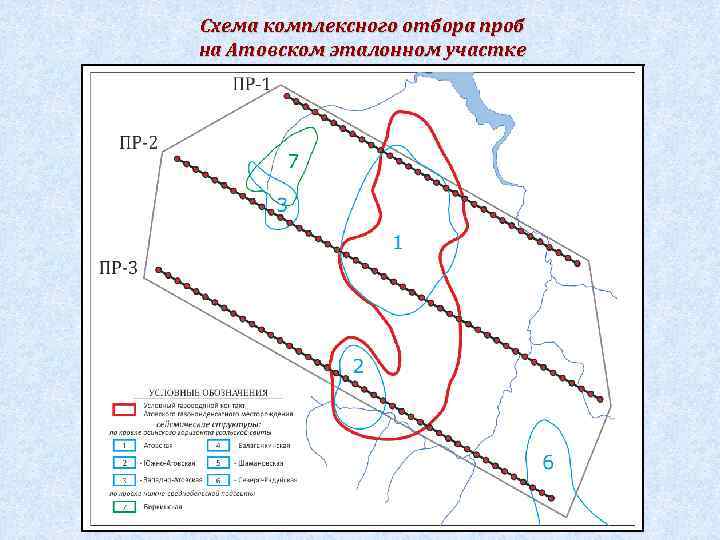 Схема комплексного отбора проб на Атовском эталонном участке 