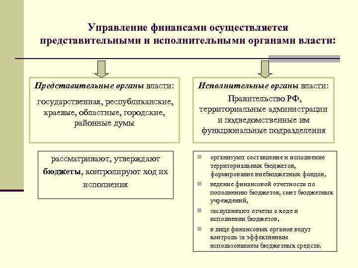 Органы осуществляющие законодательную и исполнительную власть