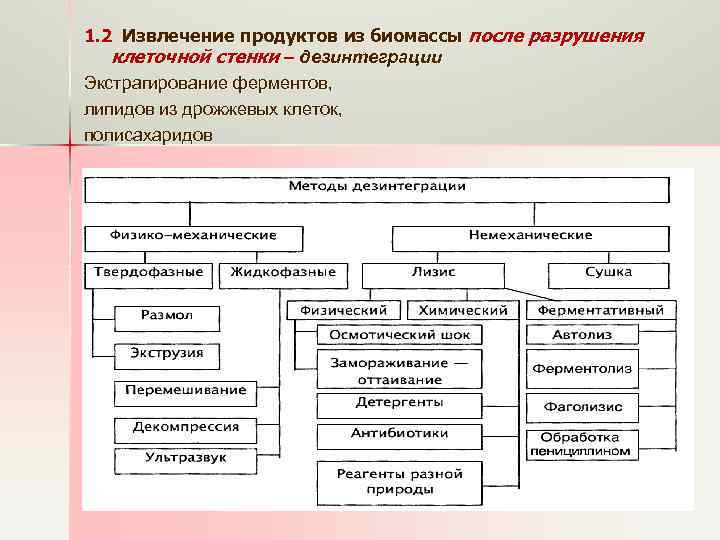 1. 2 Извлечение продуктов из биомассы после разрушения клеточной стенки ‒ дезинтеграции Экстрагирование ферментов,